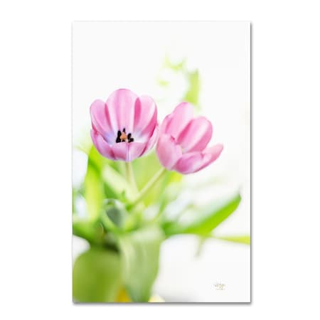 Lois Bryan 'Pink Tulips Drenched In Light' Canvas Art,22x32